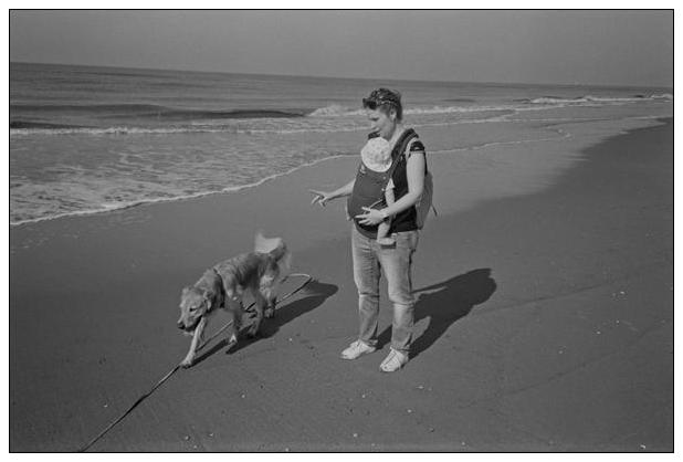 Noordwijk aan Zee (NL) #11