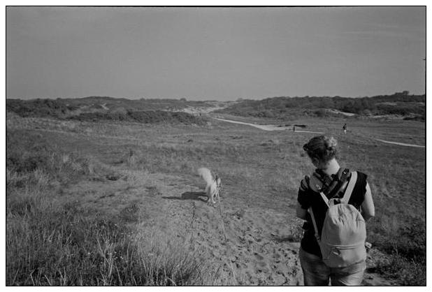 Noordwijk aan Zee (NL) #15