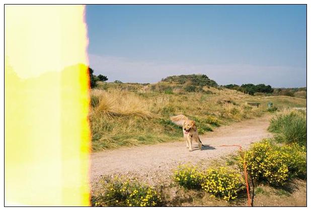 Noordwijk aan Zee (NL) #28