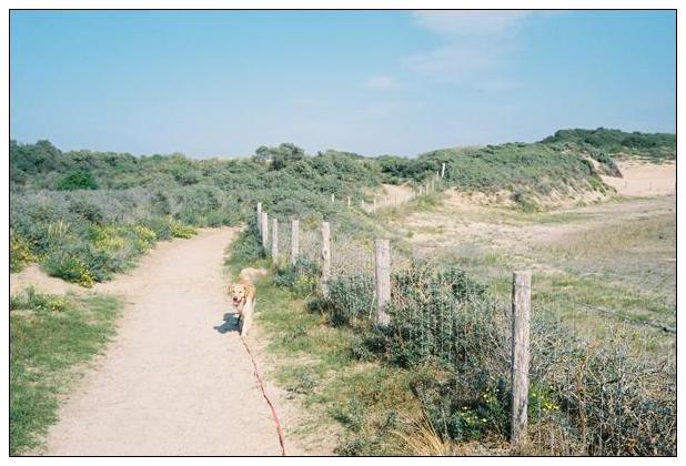 Noordwijk aan Zee (NL) #30