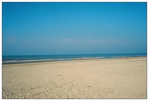 Noordwijk aan Zee (NL) #34