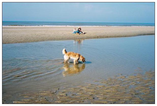 Noordwijk aan Zee (NL) #35