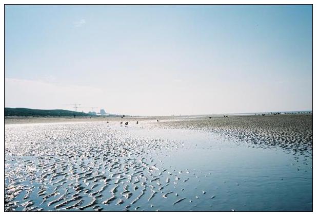 Noordwijk aan Zee (NL) #36
