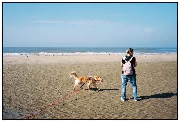 Noordwijk aan Zee (NL) #37