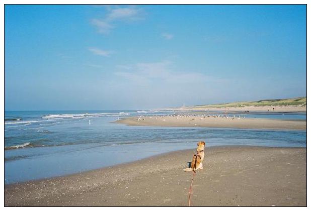 Noordwijk aan Zee (NL) #41