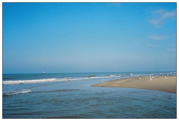 Noordwijk aan Zee (NL) #43