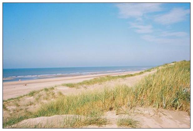 Noordwijk aan Zee (NL) #44