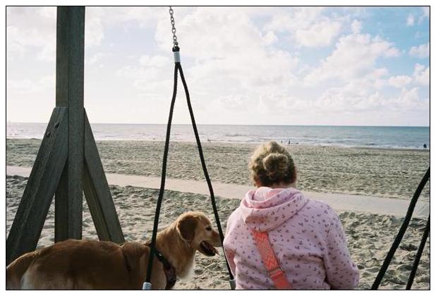 Noordwijk aan Zee (NL) #50