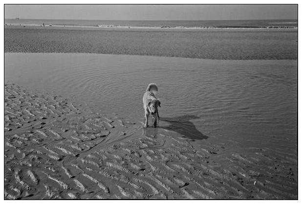 Noordwijk aan Zee (NL) #12