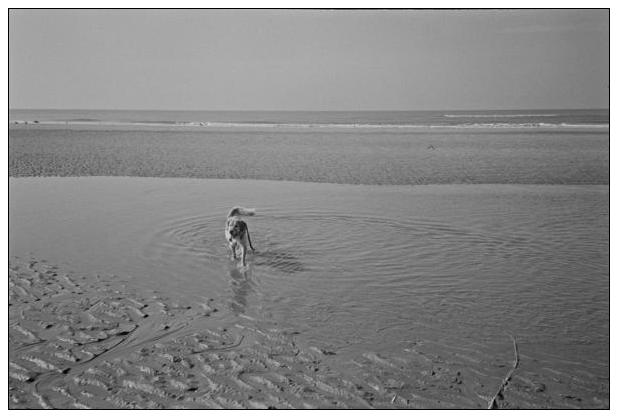Noordwijk aan Zee (NL) #13