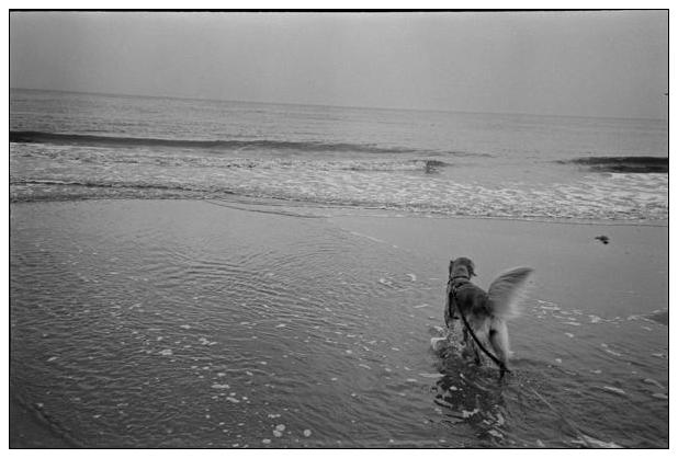Noordwijk aan Zee (NL) #16