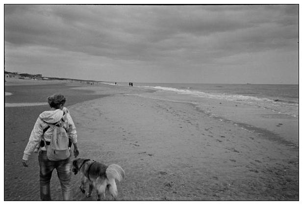 Noordwijk aan Zee (NL) #1