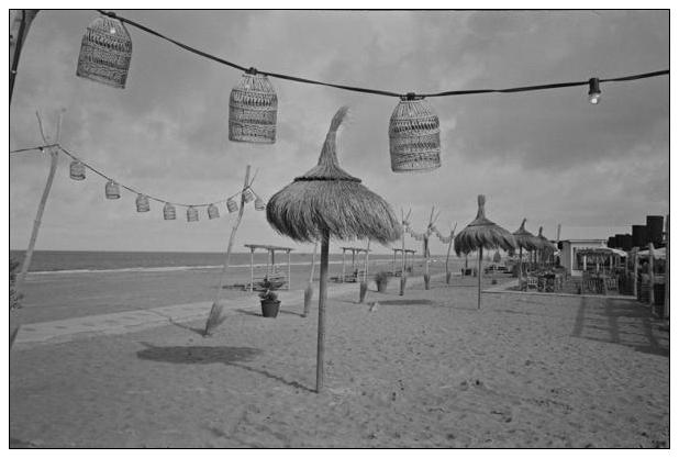 Noordwijk aan Zee (NL) #26