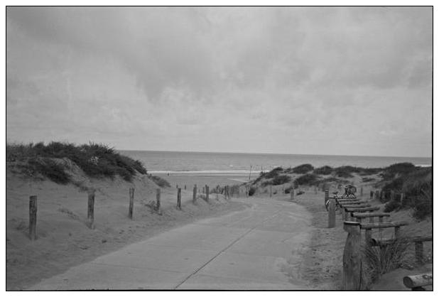 Noordwijk aan Zee (NL) #27