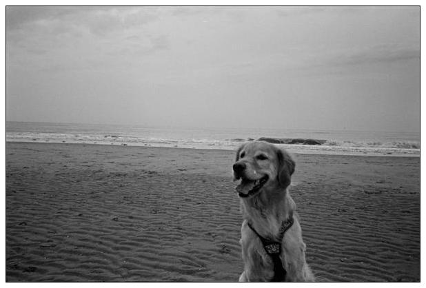 Noordwijk aan Zee (NL) #3