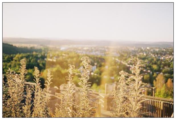 Sauerland (Medebach) #4