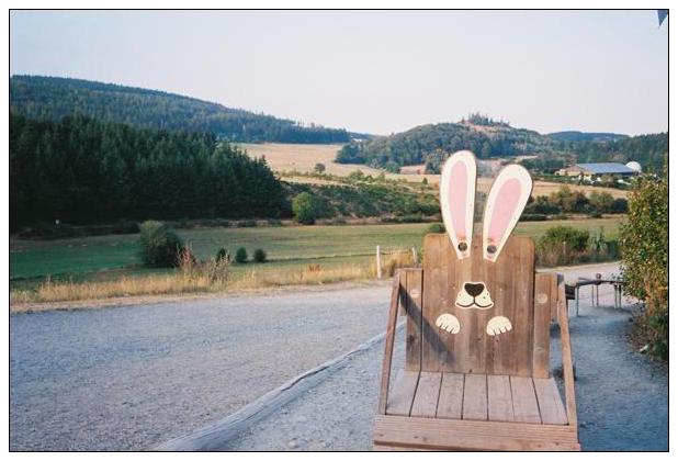 Sauerland (Medebach)