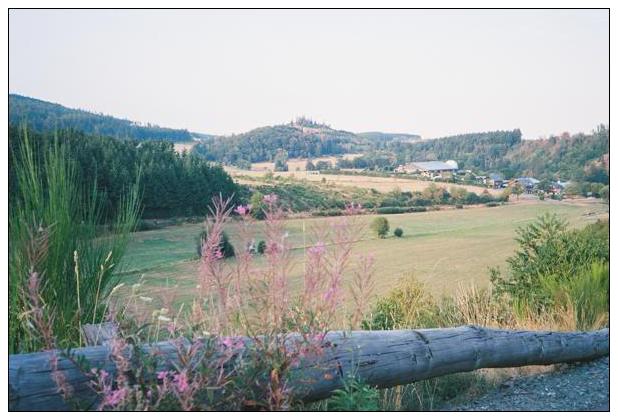 Sauerland (Medebach) #17