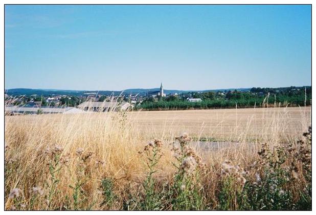 Sauerland (Medebach) #20